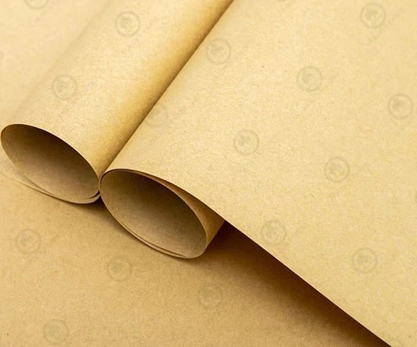 The Circular Economy Brought by Kraft Paper Manufacturing