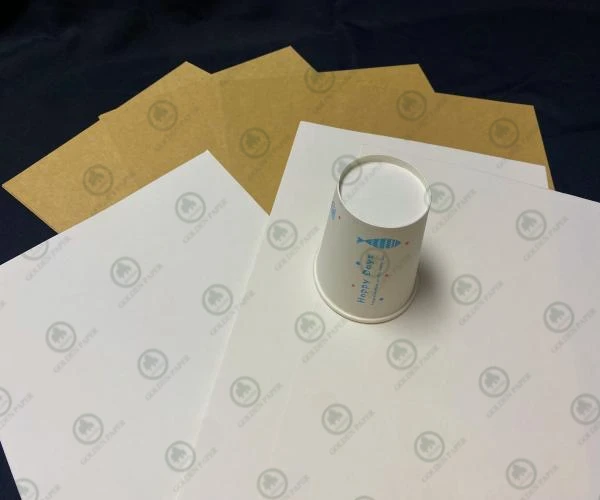 cup stock paper